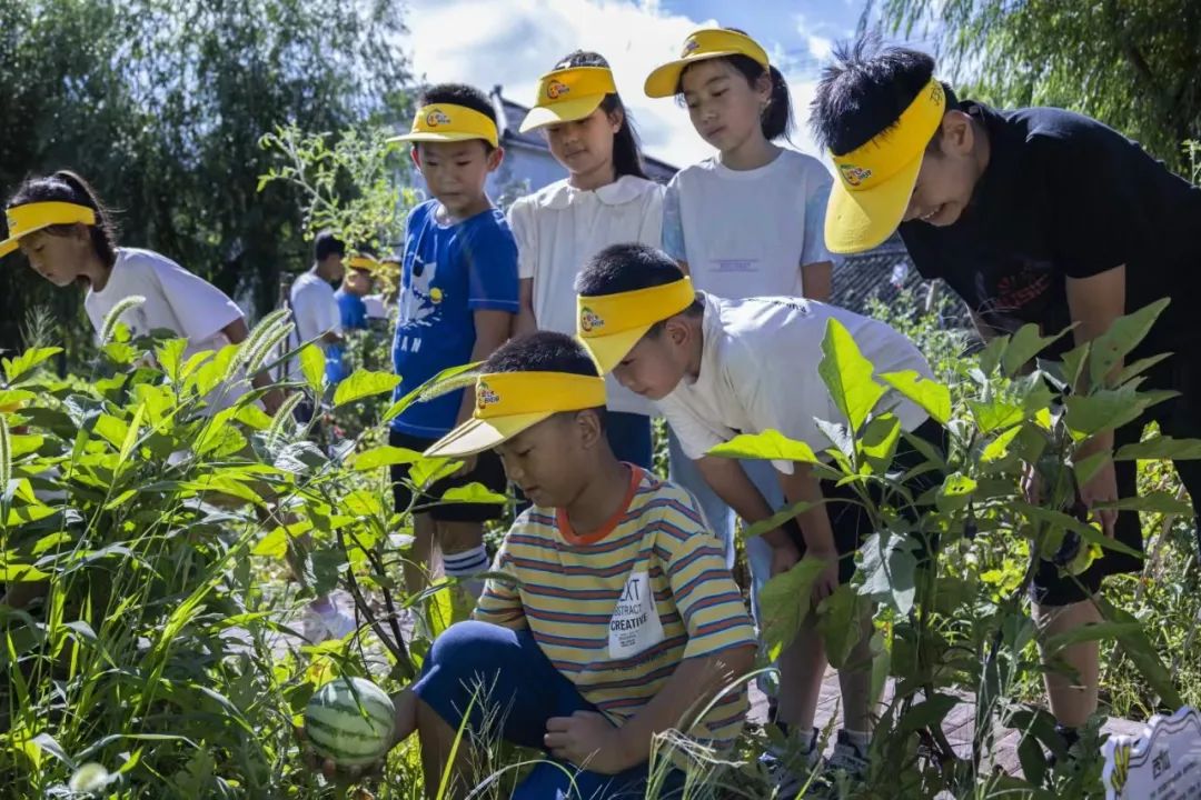 青浦区开展参观学校课植园认识中草药和农作物活动。